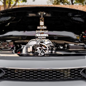 Custom Hood Props and Trunk Props