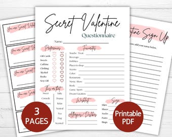 Pode incluir: Um conjunto de três páginas de questionário Secret Valentine em PDF imprimível, com texto preto em papel branco e detalhes de pinceladas em rosa suave. Os formulários incluem seções para preferências, favoritos, um jogo, uma lista de desejos e uma folha de inscrição.