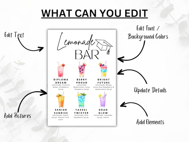 May include: A white sign featuring the words "Lemonade BAR" and images of various colourful lemonade drinks. The sign also includes the text "What Can You Edit" with arrows pointing to options such as "Edit Text" and "Add Pictures".