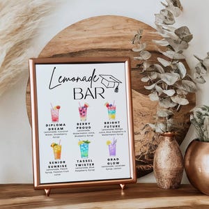 May include: A framed sign reading "Lemonade Bar" with a copper-coloured frame, showcasing colourful illustrations of lemonade drinks. The sign is propped up on a wooden surface, with decorative vases and dried plants in the background.