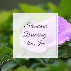May include: A square graphic with the words "Standard Breaking the Ice" in elegant script, set against a backdrop of a light purple flower with water droplets. The background features green foliage.