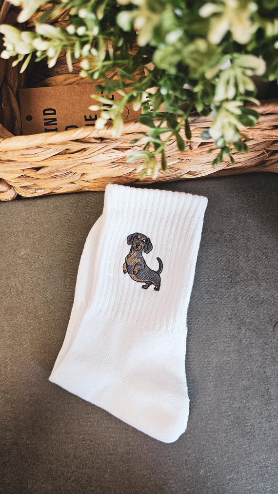 White socks with brown dachshunds White socks with brown dachshunds