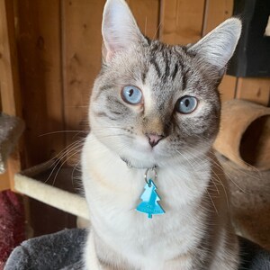 May include: A white and gray tabby cat with blue eyes sits on a gray cat tree. The cat is wearing a black collar with a blue, tree-shaped tag that says "Cat 120-123-850".