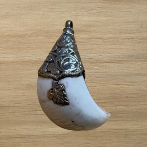 May include: A pendant featuring a curved, off-white tooth with a decorative silver-colored metal cap and bail. The metal cap is intricately detailed with floral and scroll designs, adding a touch of elegance to the pendant.