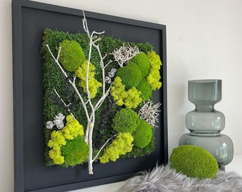 May include: Square framed wall art featuring a vibrant arrangement of green and chartreuse moss, accented with a white branch. The black frame contrasts the natural colors. A gray vase and a moss ball are also visible.