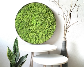 Moss picture, preserved moss, natural decoration, moss mural, moss art