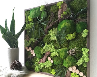 moss picture, preserved moss, natural decoration, moss wall picture, moss art