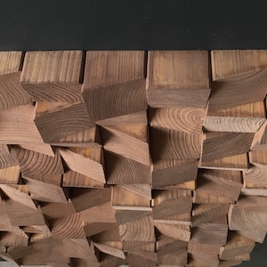 Puede incluir: Una pieza de arte de pared hecha de madera con un dise&ntilde;o geom&eacute;trico. La madera es de color marr&oacute;n claro y las piezas est&aacute;n dispuestas en un patr&oacute;n aleatorio.
