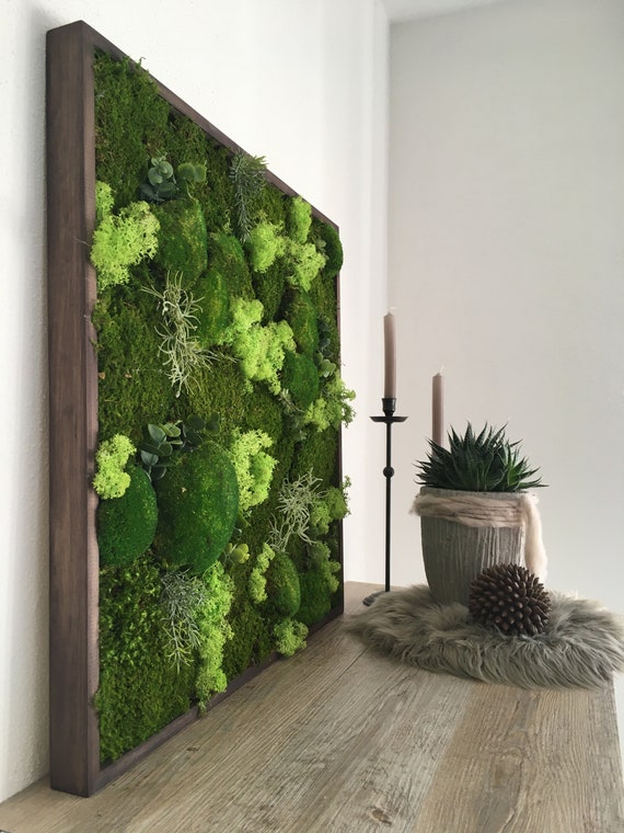 knstliche blumen orchideen Knstliche Orchidee im Topf Kunstblumen Kunstpflanzen 50 cm   Euroelectronics DE