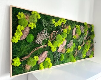 May include: A framed moss wall art piece with a variety of green moss, dried branches, and wood pieces. The moss is arranged in a natural, organic pattern, creating a textured and visually appealing piece.