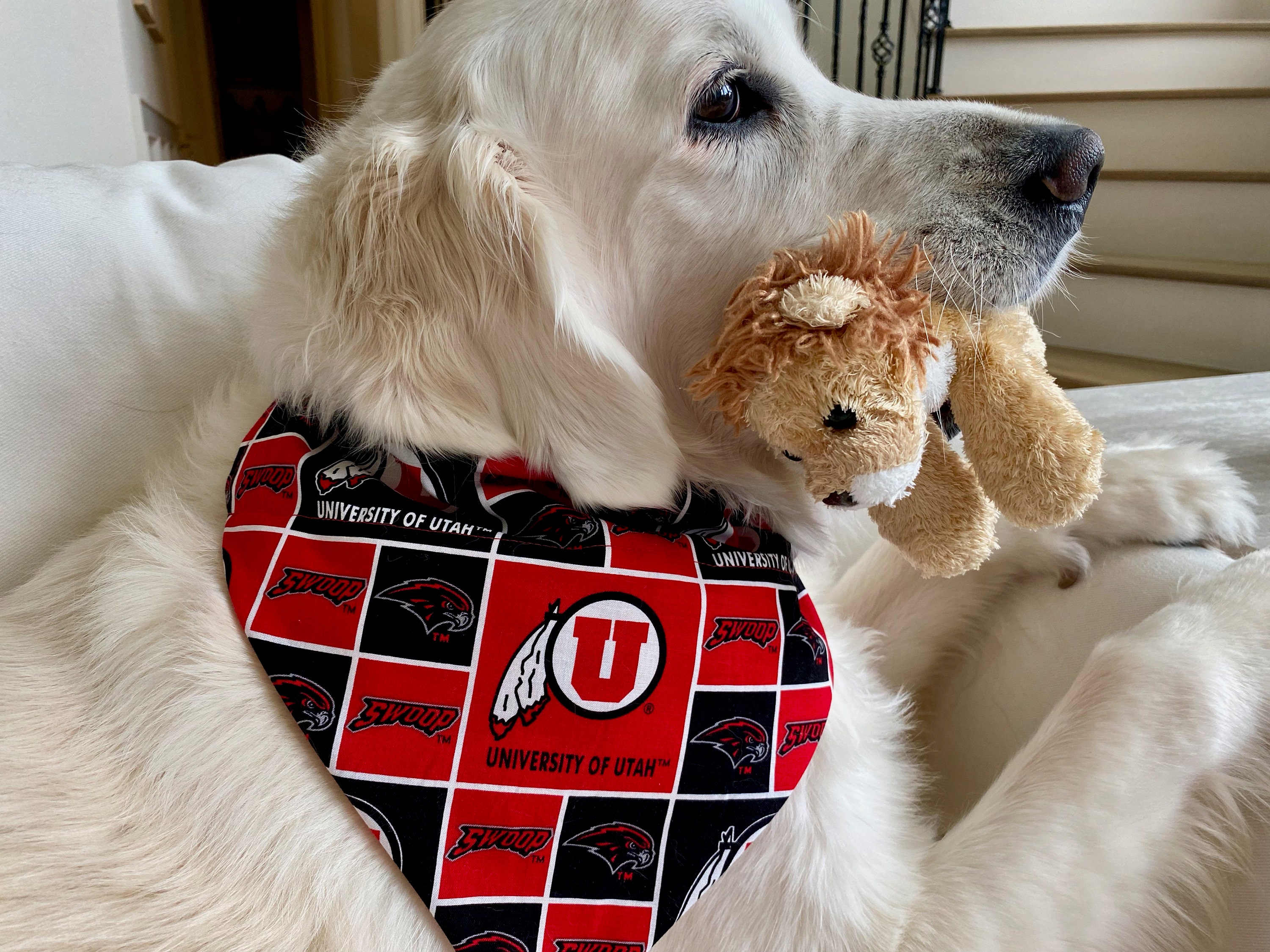 Utah Utes REVERSIBLE Over-the-collar Dog and Cat Bandana 2 