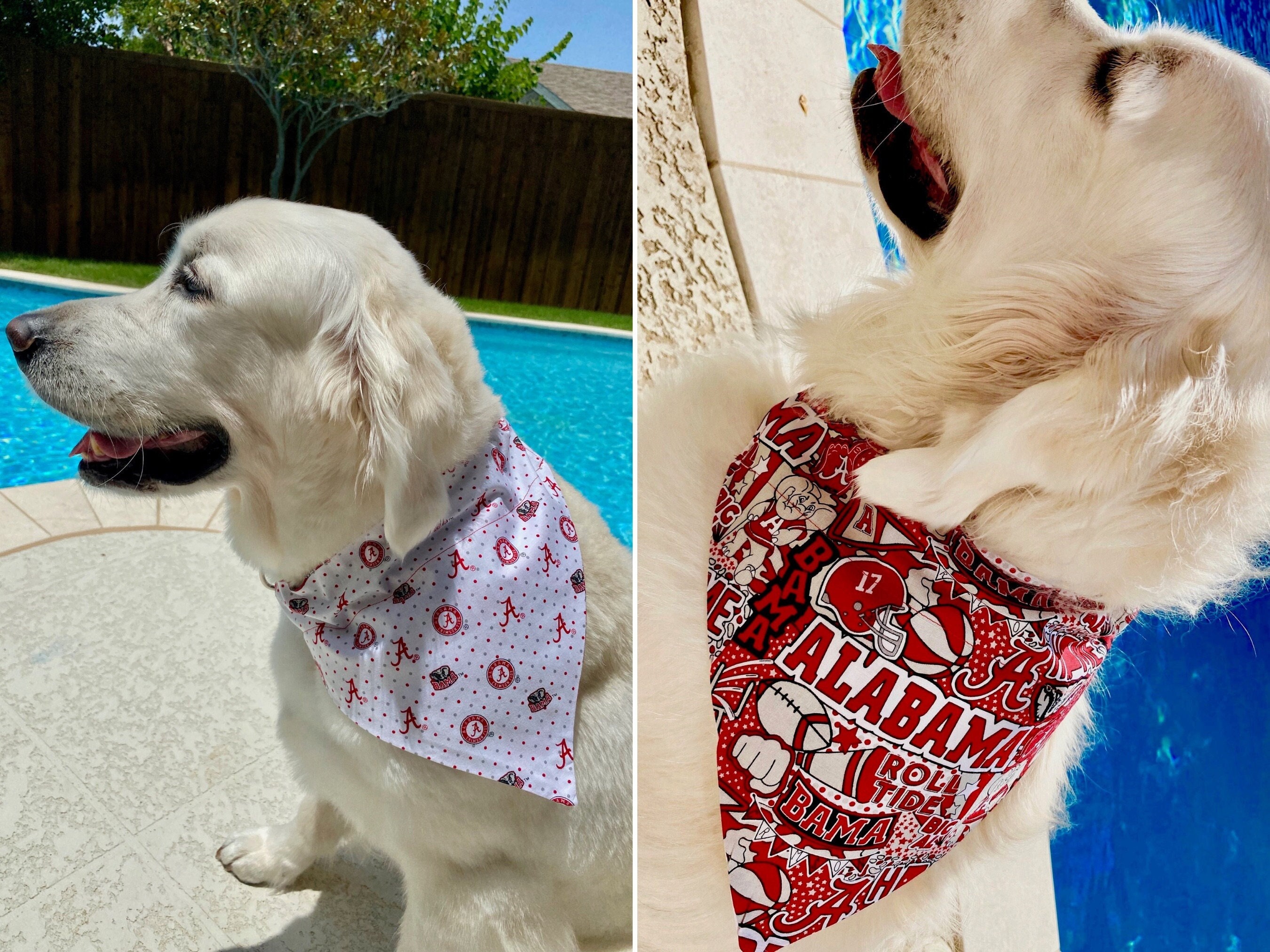 Alabama REVERSIBLE Over-the-collar Dog or Cat Bandana 2 Great 