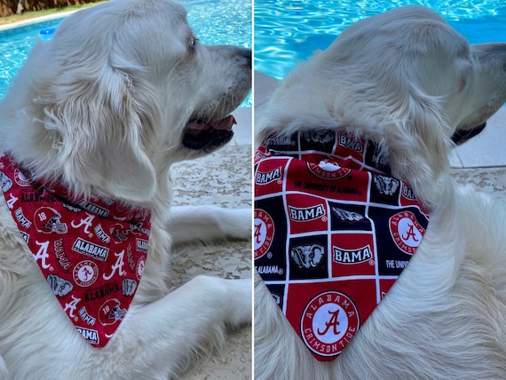 University of Louisville Dog Collar Bandana-Louisville Cardinals Pet  Bandana for Collars