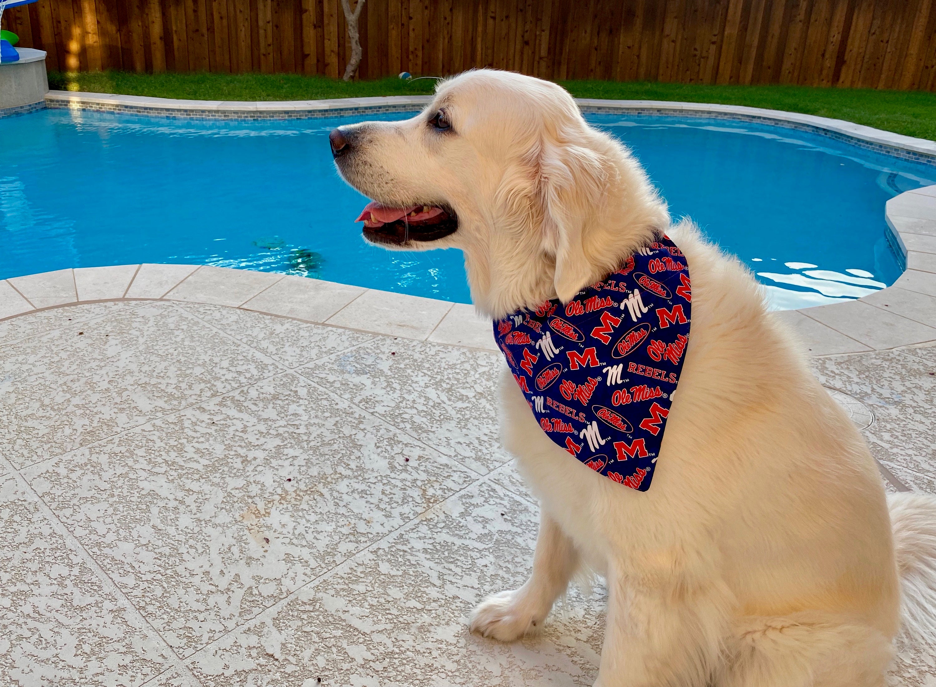 Ole Miss REVERSIBLE Over-the-collar Dog & Cat Bandana 2 Great 