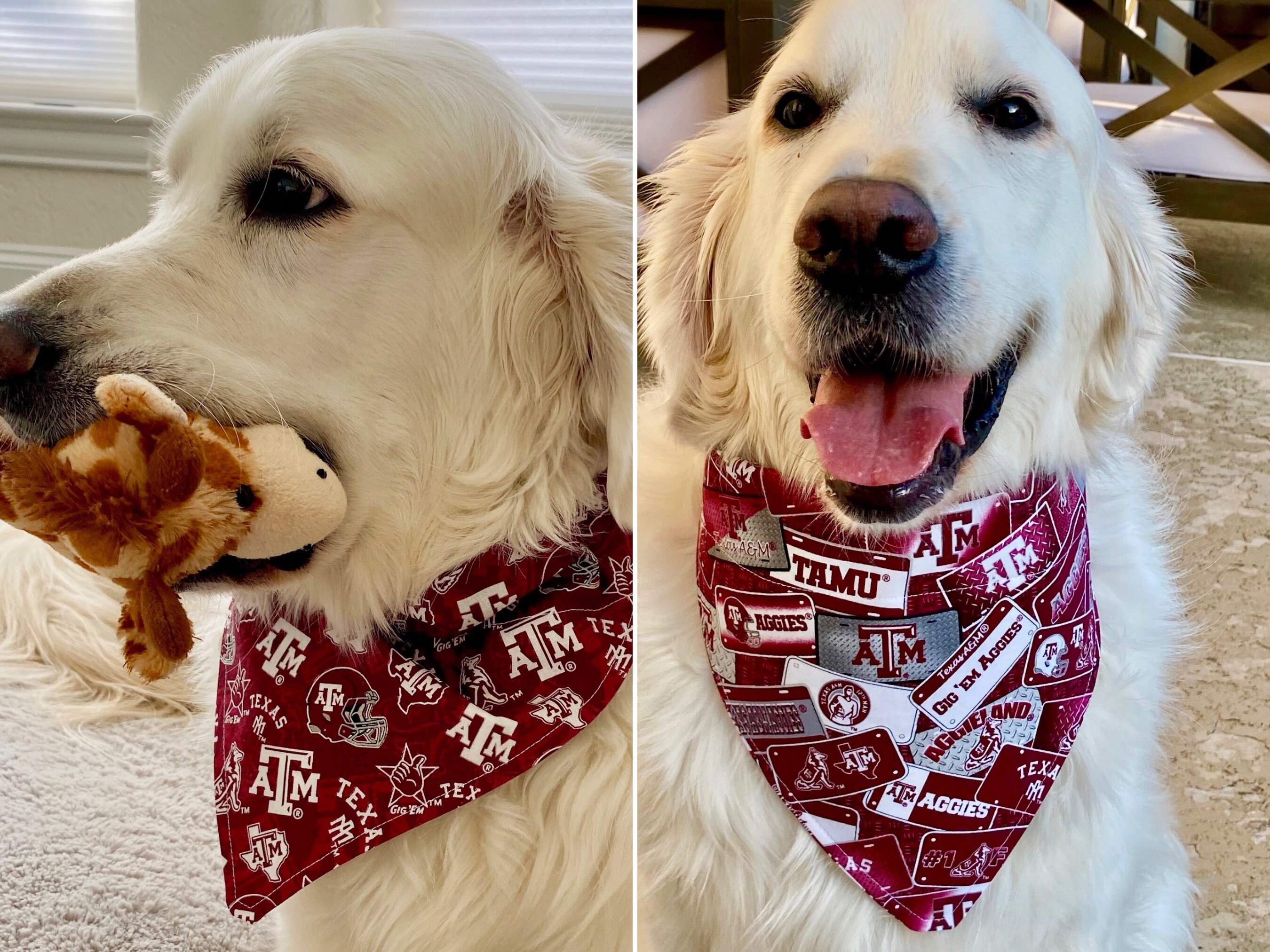 Dog Bandanas for sale in Alton, Texas, Facebook Marketplace