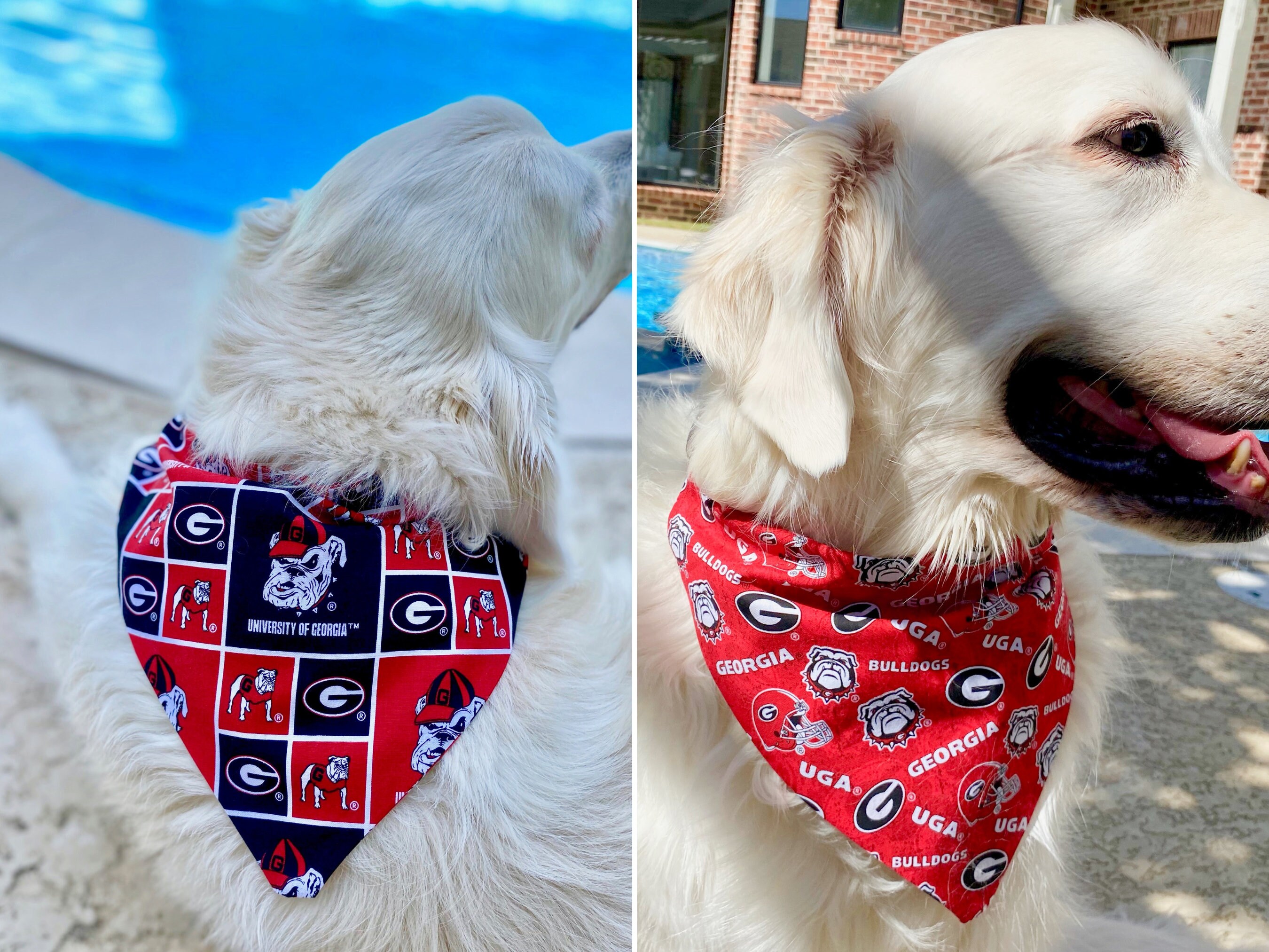 Georgia bulldogs dog bandana hot sale