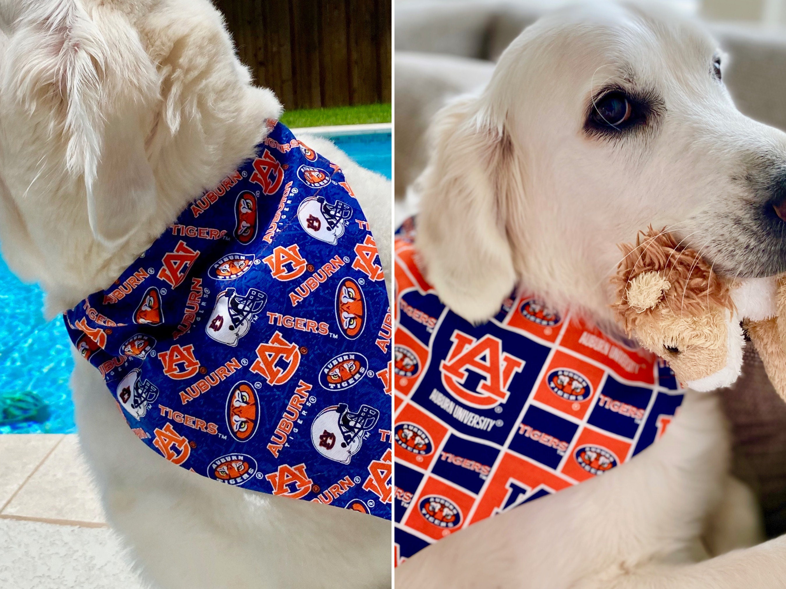 Auburn Pet Etsy