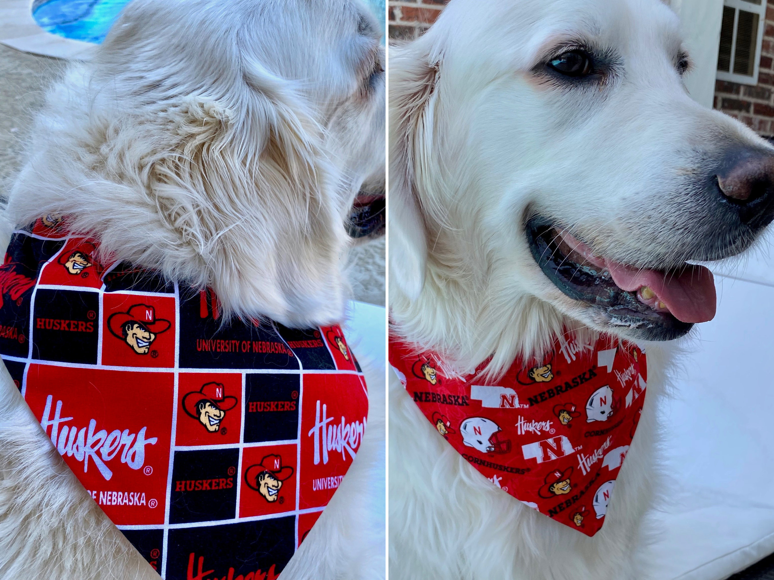 Nebraska Huskers REVERSIBLE Over the collar Dog Cat Bandana 2