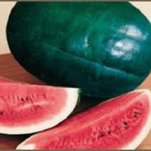 Black Diamond Watermelon Seeds: Rare Dark Green Heirloom - 40 Seeds