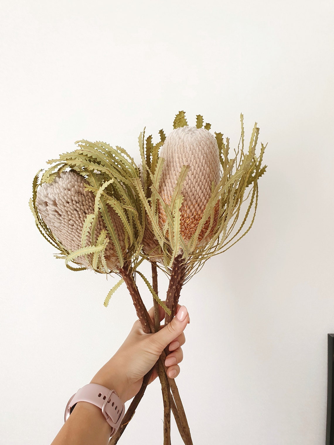 Dried Banksia Dried Banksia Flower Bouquet Dry banksia Etsy