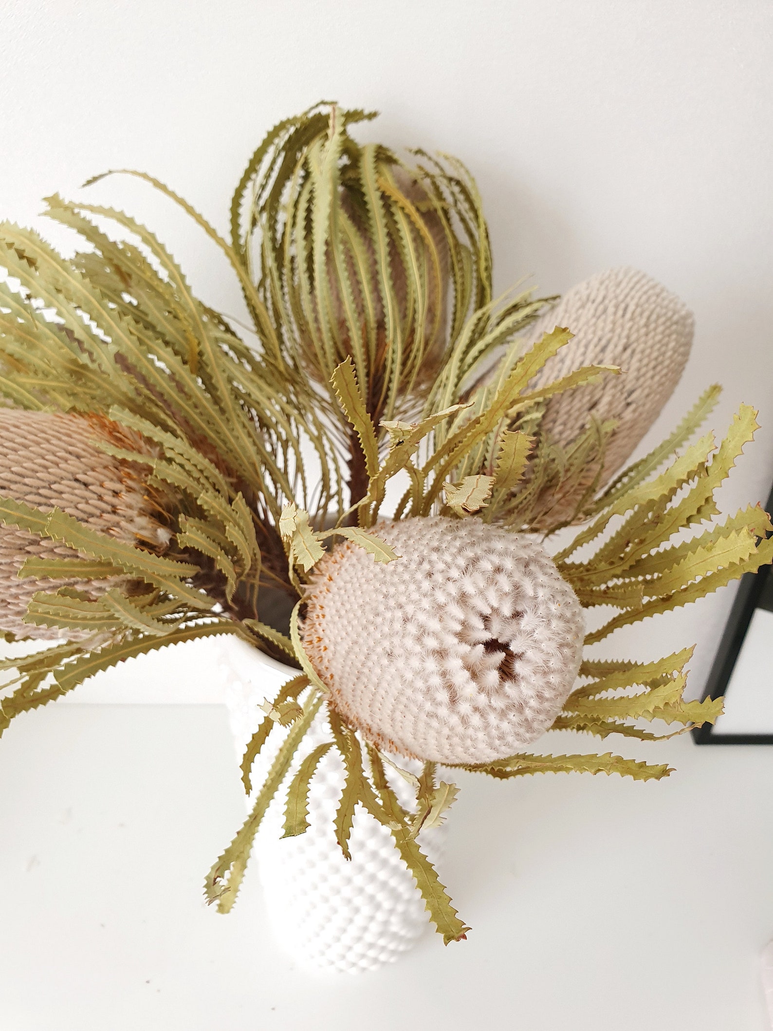 Dried Banksia Dried Banksia Flower Bouquet Dry banksia Etsy