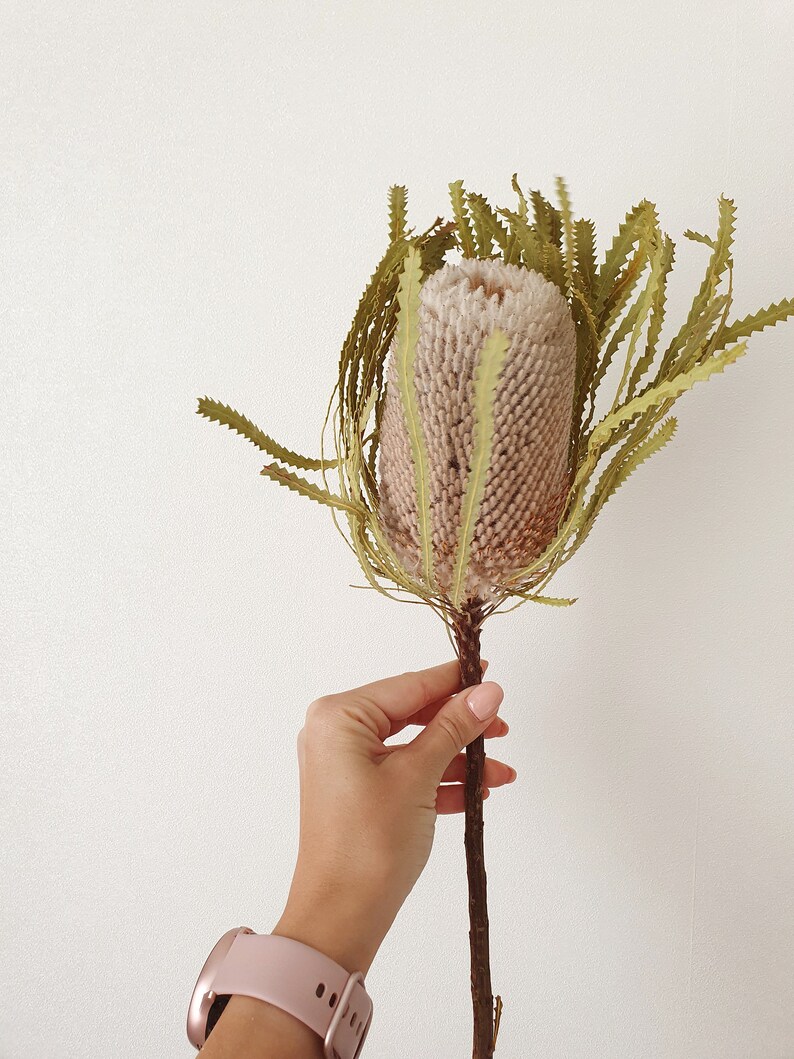 Dried Banksia Dried Banksia Flower Bouquet Dry banksia Etsy