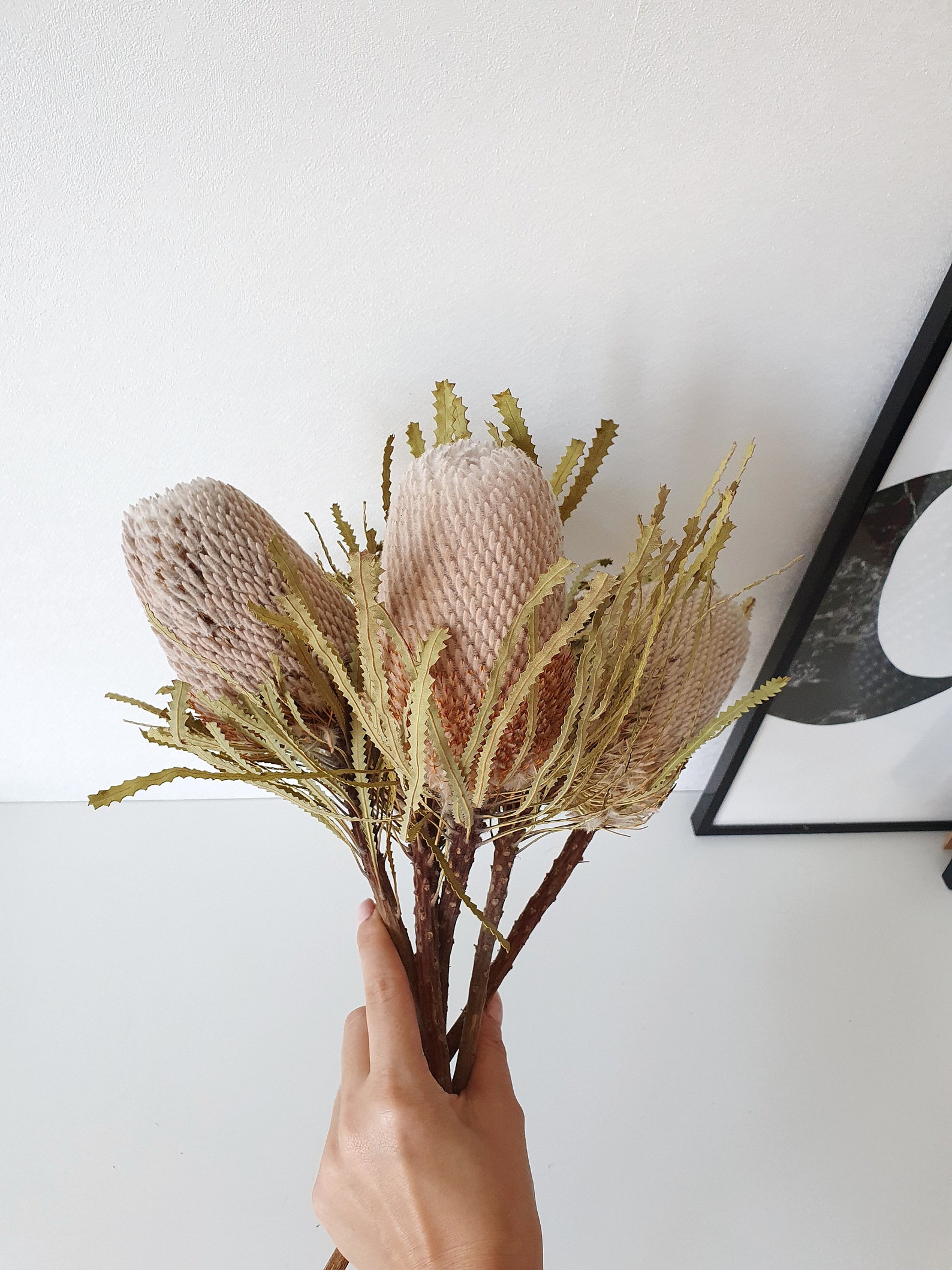Dried Banksia Dried Banksia Flower Bouquet Dry banksia Etsy