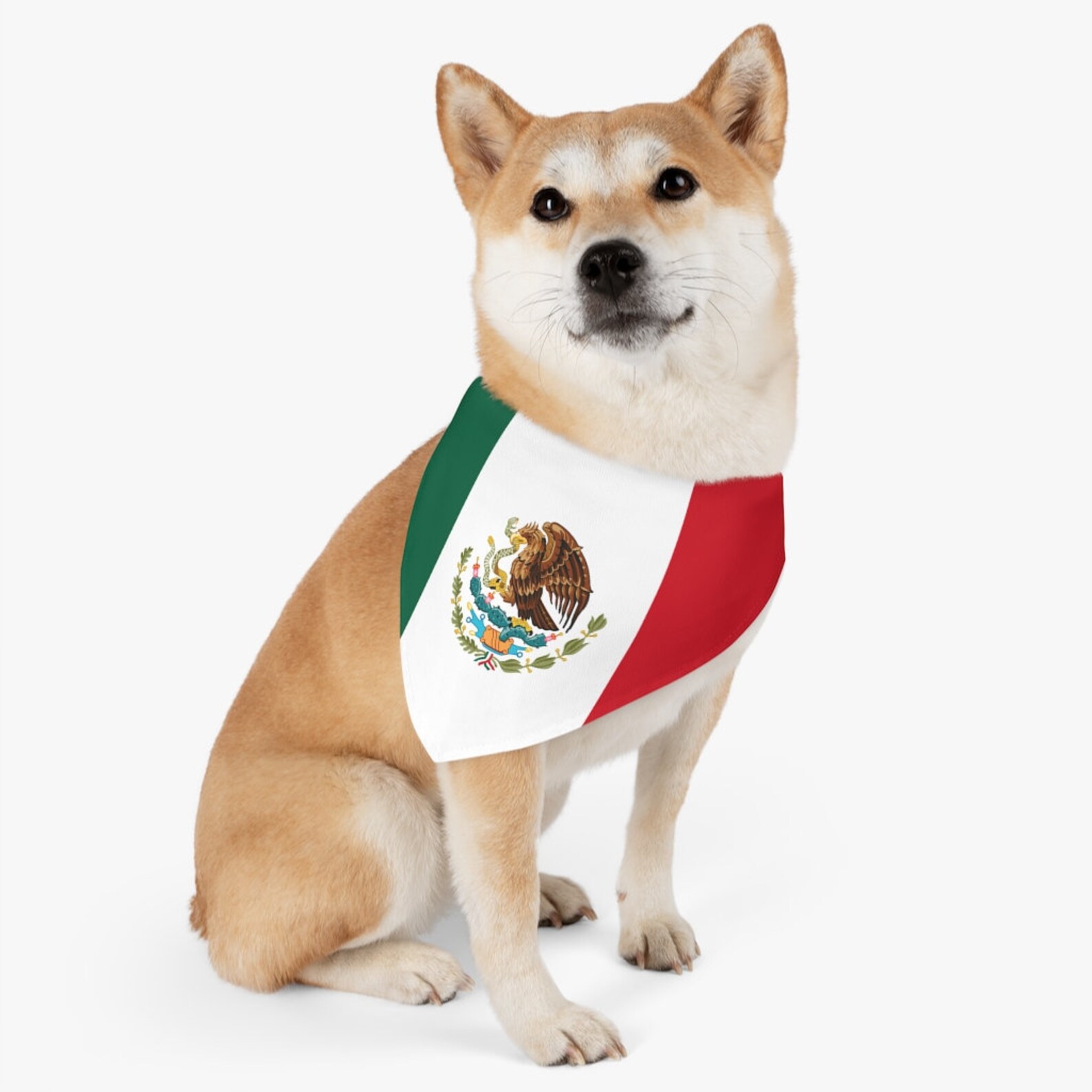 Mexico Mexican Flag Inspired Dog Pet Bandana Collar Adjustable - Etsy