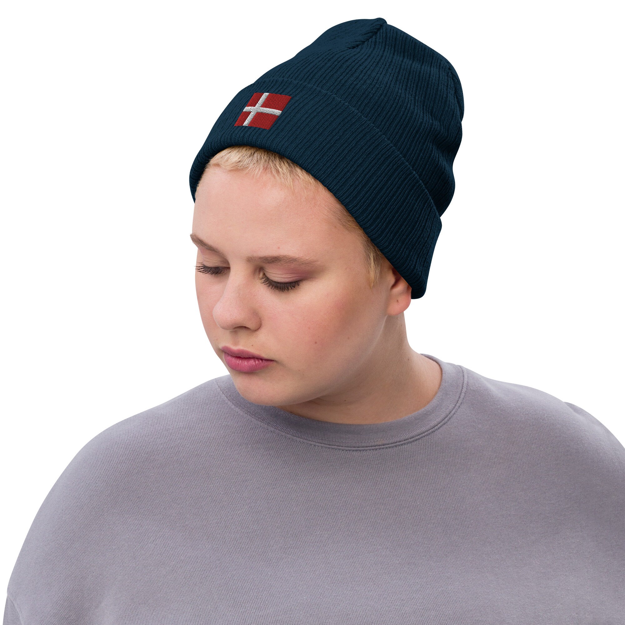 Denmark Flag Beanie: Embroidered Cuffed Knit Recycled Polyester Winter ...