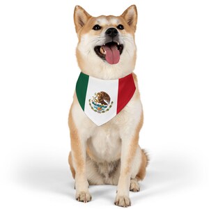 Puede incluir: Un perro de color canela y blanco con un pa&ntilde;uelo con la bandera mexicana. El perro est&aacute; sentado con la lengua fuera y mirando hacia arriba.