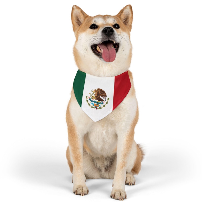 Puede incluir: Un perro de color canela y blanco con un pa&ntilde;uelo con la bandera mexicana. El perro est&aacute; sentado con la lengua fuera y mirando hacia arriba.