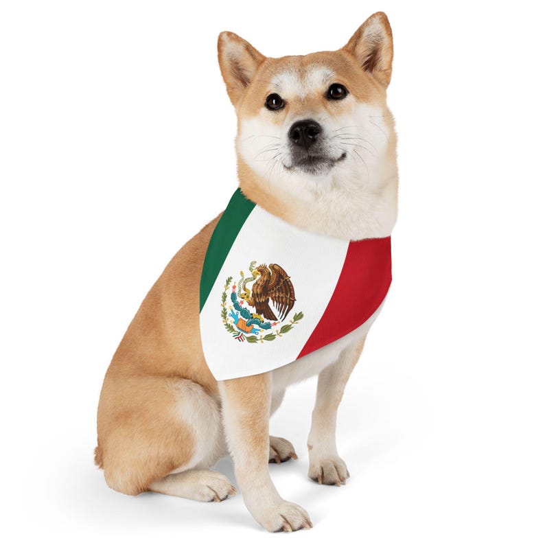 Puede incluir: Un perro de color canela y blanco con un pa&ntilde;uelo con la bandera mexicana impresa. El pa&ntilde;uelo es verde, blanco y rojo con el escudo de armas mexicano en el centro.