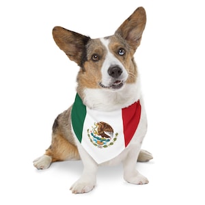 Puede incluir: Un perro marr&oacute;n y blanco con una bandana con la bandera mexicana. La bandana es verde, blanca y roja con el escudo de armas mexicano en el centro.