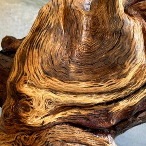 Abstract Driftwood Sculpture for wall or shelf