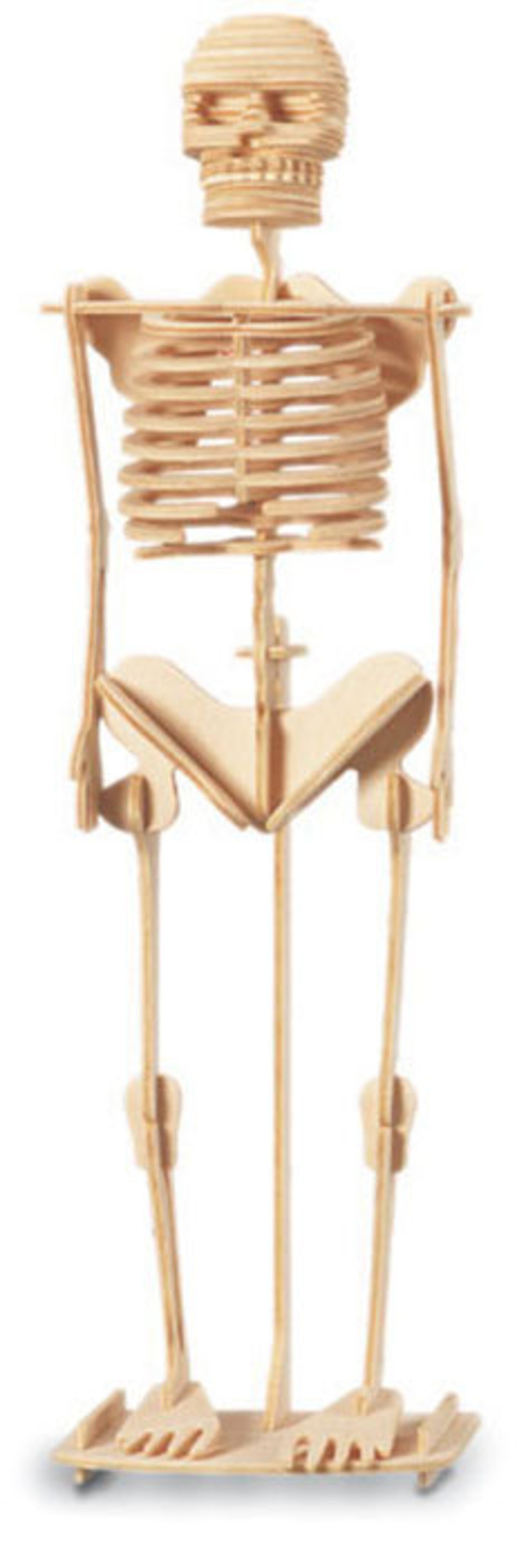 SKELETON Woodcraft Construction Kit 3D Wooden Model Puzzle Etsy.de