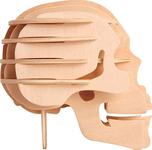 HUMAN SKULL Woodcraft Construction Kit 3D Wooden Model Etsy