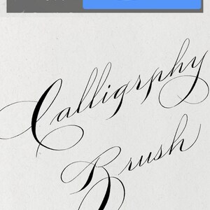 May include: A digital illustration of the words "Calligraphy Brush" written in a cursive font. The image is a preview of a brush for the Procreate app. The text "FOR PROCREATE APP ONLY" and "Etsy: Aletterashop" are also included in the image.