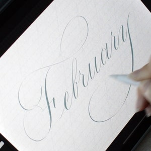 May include: A close-up of a hand writing the word "February" in cursive on a digital tablet.