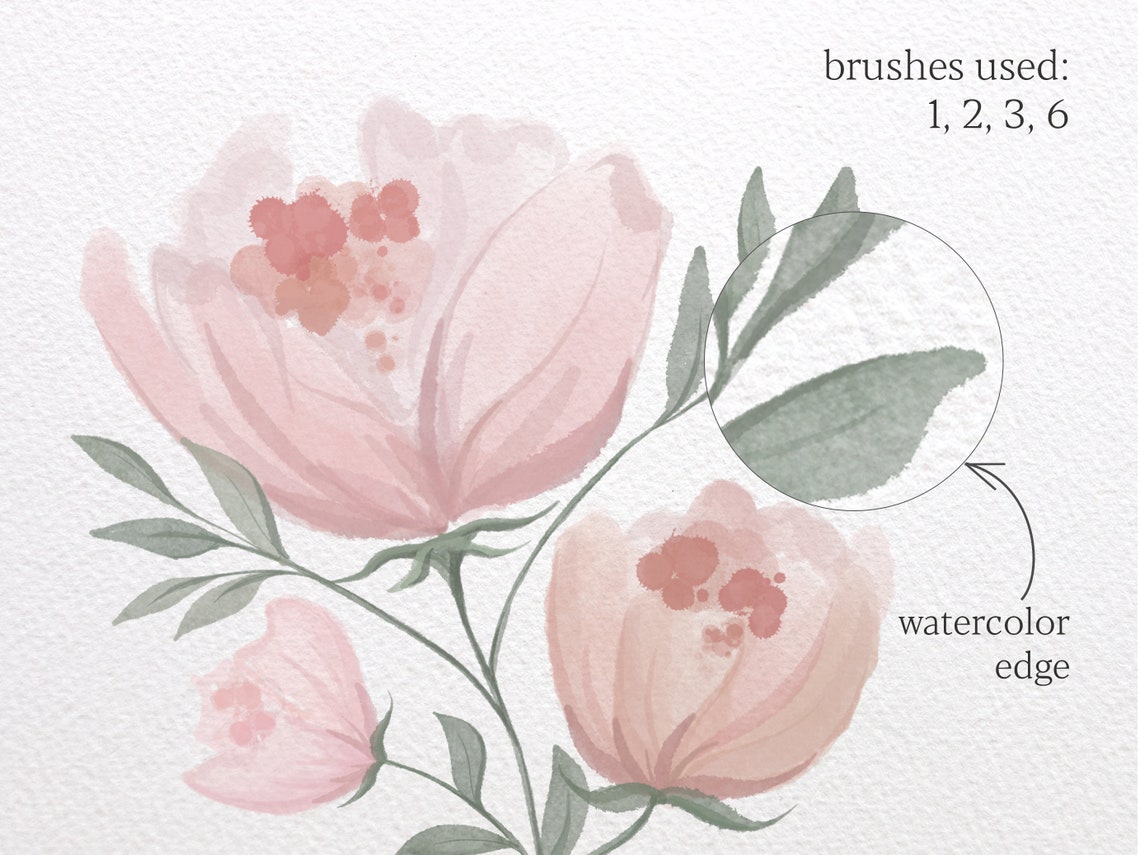Watercolour Brushes Procreate Brushes Procreate Brush Set - Etsy