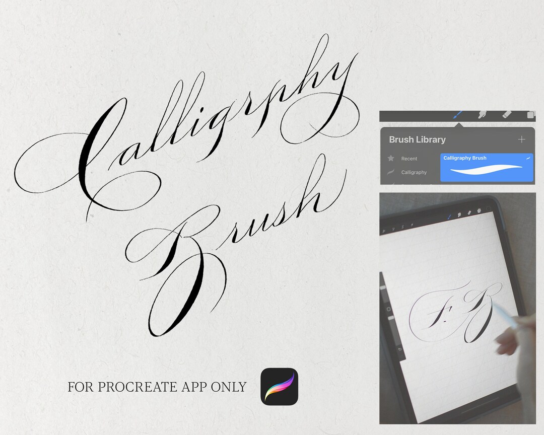 Spencerian Brush Lettering Calligraphy Brush Procreate Handwriting