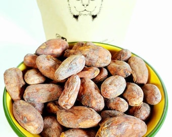 Raw Cacao - Top Luxury Grade Whole Cocoa Beans - Direct Trade Ecuador