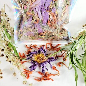 Euphoric Organic Herbal Blend for Every Mood and Lucid Dreaming. Blue Lotus Flower, Alaskan Wormwood, Klip Dagga, and more. image 4