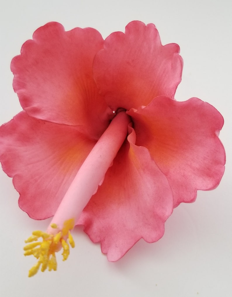 Hibiscus Frangipini Plumeria Gumpaste Flowers Cake Topper ...