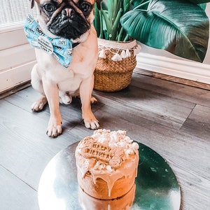 Dog Birthday Cake popcorn image 5