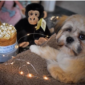 Dog Birthday Cake popcorn image 6