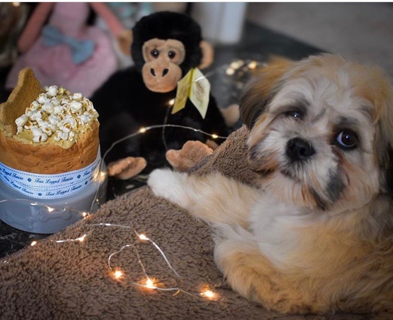 Dog Birthday Cake popcorn image 6