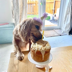 Dog Birthday Cake popcorn image 7