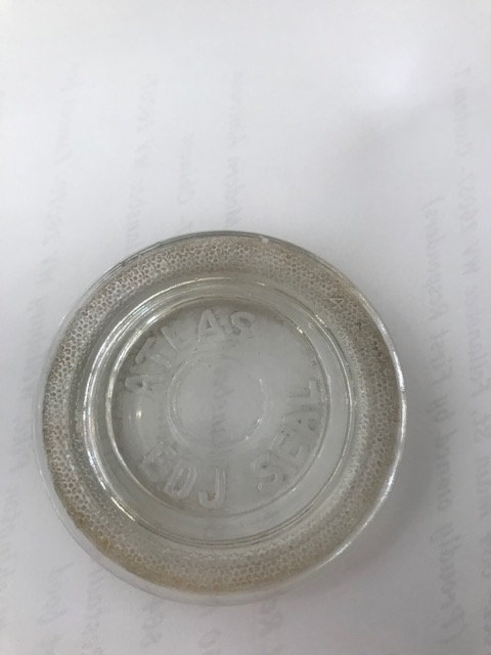 Atlas EDJ Seal Clear Glass Canning Jar Seal/ Lid to Be Used Etsy