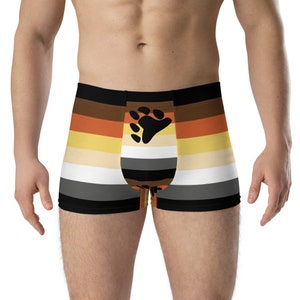 LGBT Pride Bear Flag Boxer Briefs