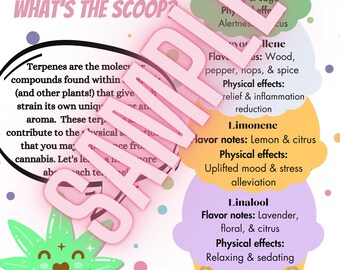 Terpene Infographic for Cannabis Dispensaries- "Terpenes: What's the Scoop?" (Downloadable PDF)